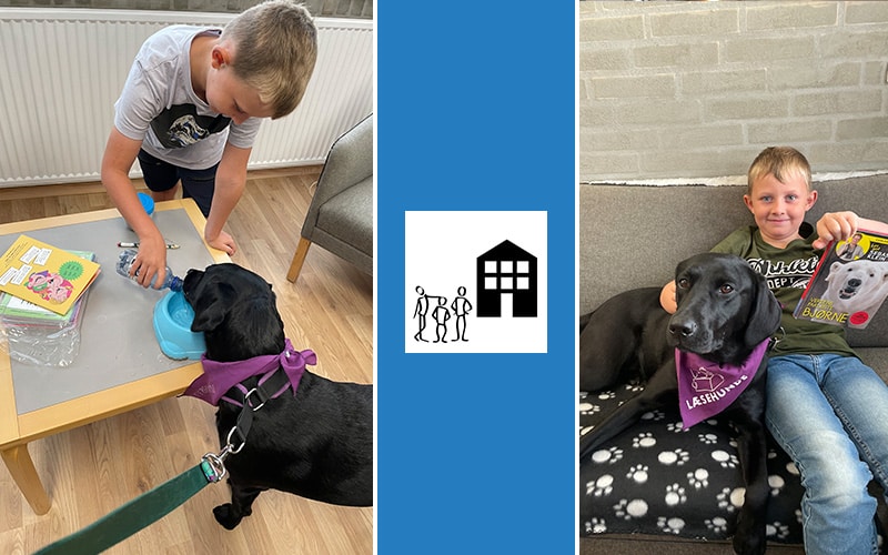 Læsehund hjælper elever med læsevanskeligheder